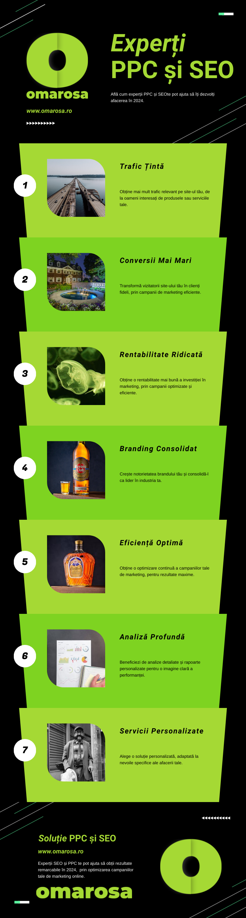 Infographic - Soluție PPC și SEO